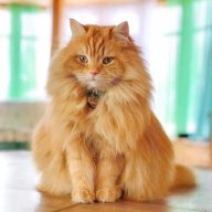 Antоn_Kotov