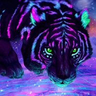 Timur_Dstepan