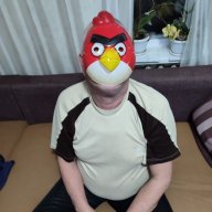 Svetozar Sever