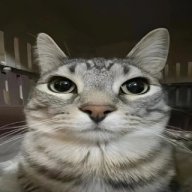 Kirill_Karpunkin