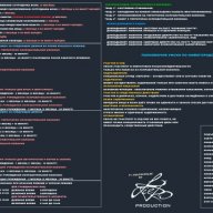 Медведев Илья