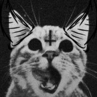 Mhesz_FOR