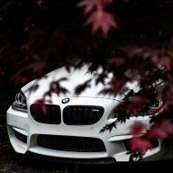 Nikita_Maliby