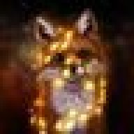 Fox_Sunrise