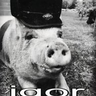 Igor_Kozhedub