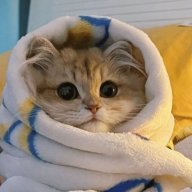 Sasha_Tomskih