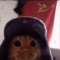 Katya_Abramova