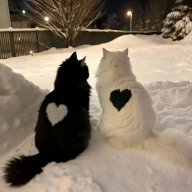 |-| Ivan_Strogov |-|