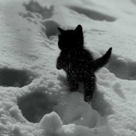 Aleksander_Zhuravlev