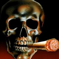 маргаритка пицеритка