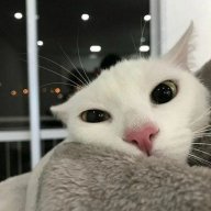 Dmitryj