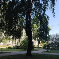 Dmitry_North