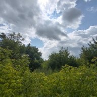 Vadim_Gernov 1234