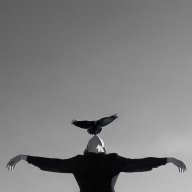 Luis_Sokolov
