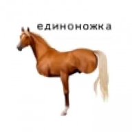 nyxionwer