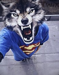 Egor_Evdokimov