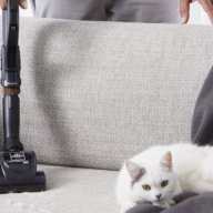 _Alisher_Tagirovich_