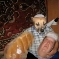 zalesskiy