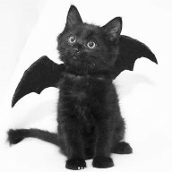 KilliAngel