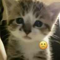 Mizuki_Milston