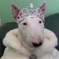 Мария Бартон