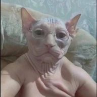 ddddddddddddd