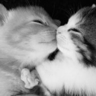 Энжей Мейрис