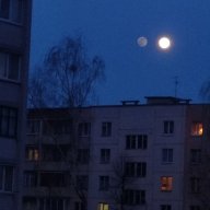 Leonid P