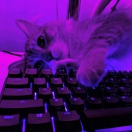 Сережа Морозов