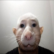 Egor_Zukov