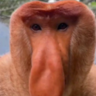 Derek_Hadzime