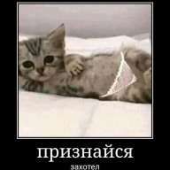 Elizaveta_Anderson
