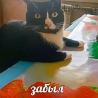 Забыл