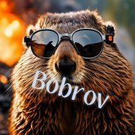 BobrovRR
