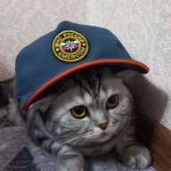 Bogdan_Lis