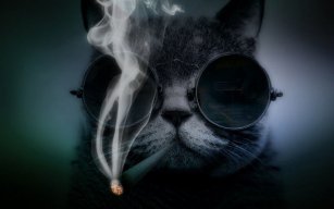 Sasha_Ramly