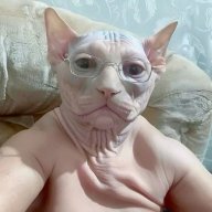 Ilya_Carnello