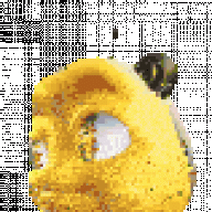 rboomsr