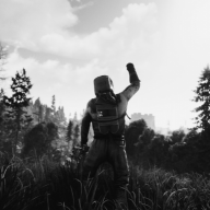 vista