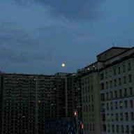 Бестолочь