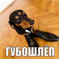 Nikita_Boldyrev