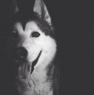 Sergey_Ageev