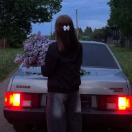 Lerik_Romashkin