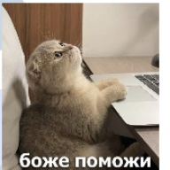 Zuev