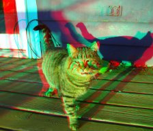 Даниил Гареев