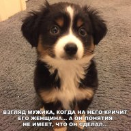 Matvey_Dytkovcuki
