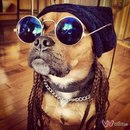 Radik_Hlebodarov