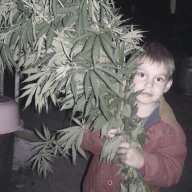 Cristopher Primer