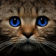 Pasha_Robinson