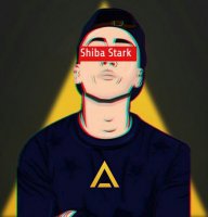 Shiba_Stark